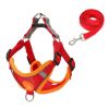 Small Dog Harness Puppy Harness and Leash Set with Reflective Strip for Small Dog Breeds - Red - L