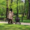 4 Wheels Pet Stroller Foldable Carrier Strolling Cart Travel Jogger Pet Stroller with Removable Liner Storage Basket for Dog Cat - Black