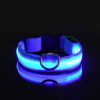 Glow-In-The-Dark Pet Collar For Dog & Cat; LED Dog Collar For Night Walking; USB charging - Blue - XL