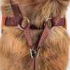 Pet Life Luxe 'Pawsh' 2-In-1 Mesh Reversed Adjustable Dog Harness-Leash W/ Fashion Bowtie - X-Small