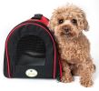 Airline Approved Folding Zippered Sporty Mesh Pet Carrier - Large