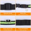 LED Dog Collar USB Rechargeable Adjustable Dog Safety Collar Night Safety Flashing Luminous Light up Collar - Green - S